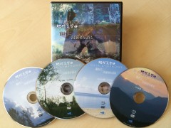 ガイア8特典DVD