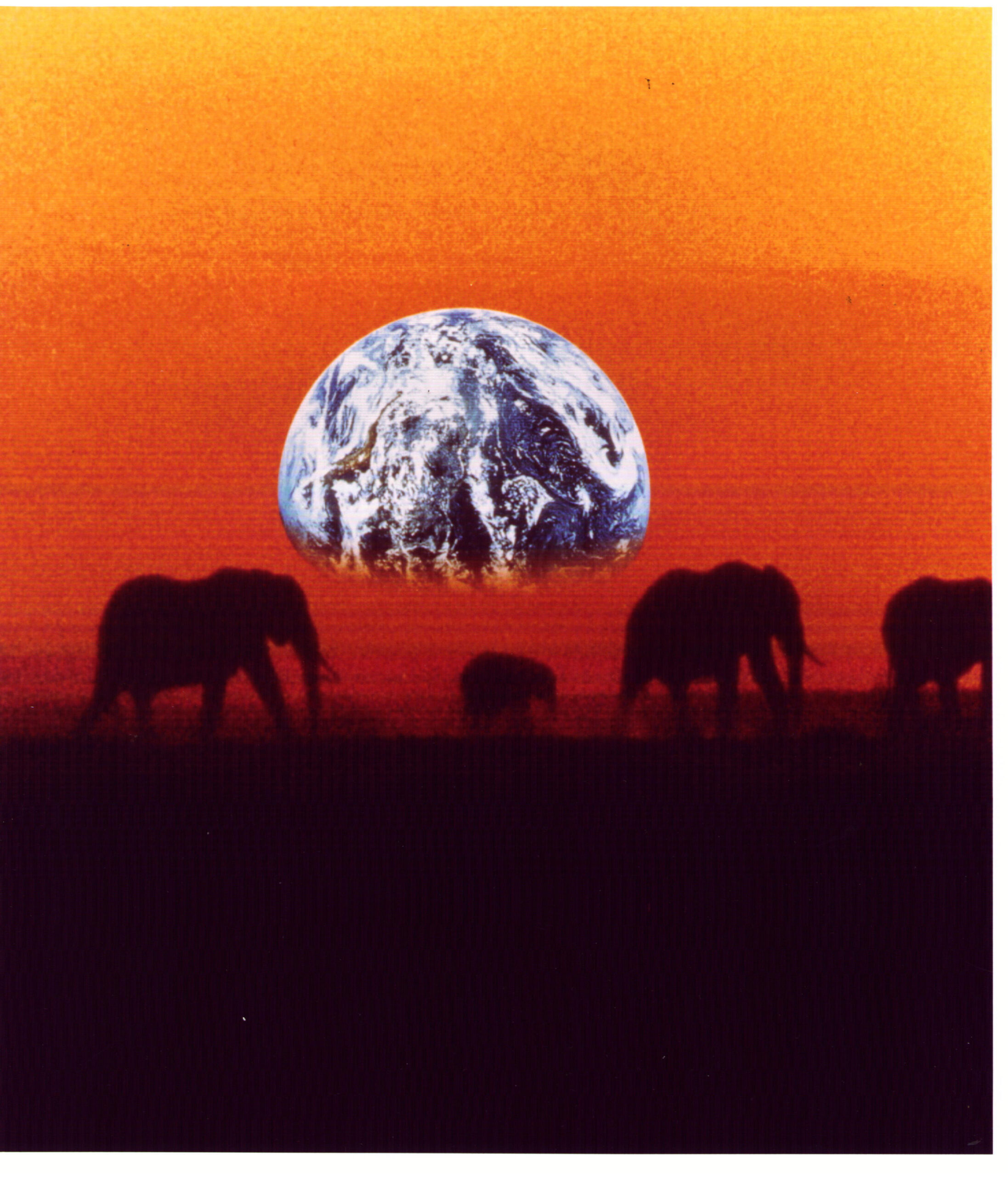 地球交響曲DVD | GAIA SYMPHONY ーガイアシンフォニーGAIA SYMPHONY ー 